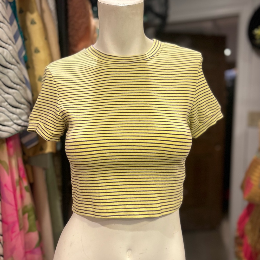 Yellow & Purple Crop